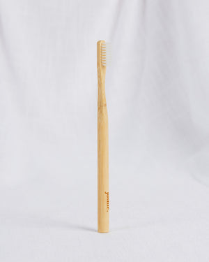 Bamboo Toothbrush 